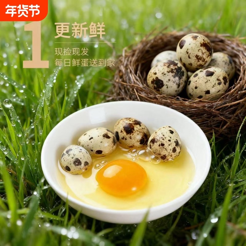 生鹌鹑蛋新鲜50枚盒装现捡农家杂粮喂养生的鸟蛋孕妇辅食,水产肉类/新鲜蔬果/熟食,鹌鹑蛋,淘宝优惠券,粉丝福利购,淘宝优惠卷