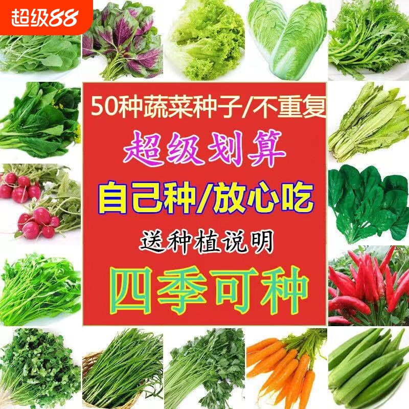 四季盆栽蔬菜种子菜种子蔬菜香菜番茄黄瓜白菜胡萝卜甜瓜西瓜水果