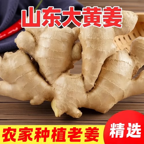 2025年山东正宗生姜老姜大姜新鲜农家黄姜3斤/5斤干姜食用自提