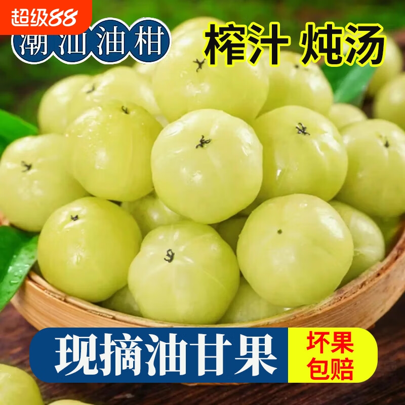 98%推荐|潮汕高山油柑