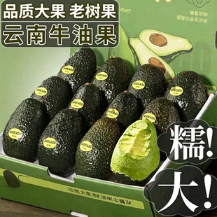 新鲜进口秘鲁牛油果哈斯水果应当季孕妇整箱鳄梨大果鲜果辅食自提