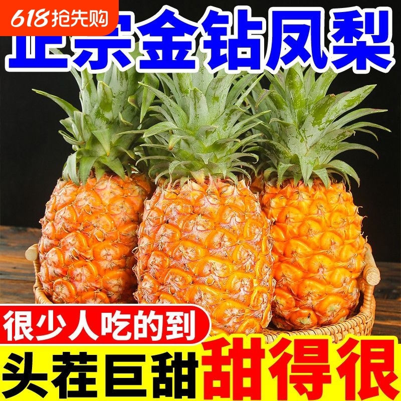 海南金钻凤梨10斤新鲜水果当季芒果凤梨手撕香水菠萝特产无眼包邮