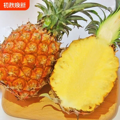 【产地直发】海南正宗金钻凤梨新鲜水果当季凤梨手撕菠萝特产无眼