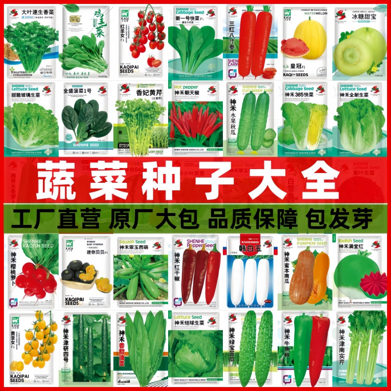蔬菜种子大全四季播种耐热果蔬籽