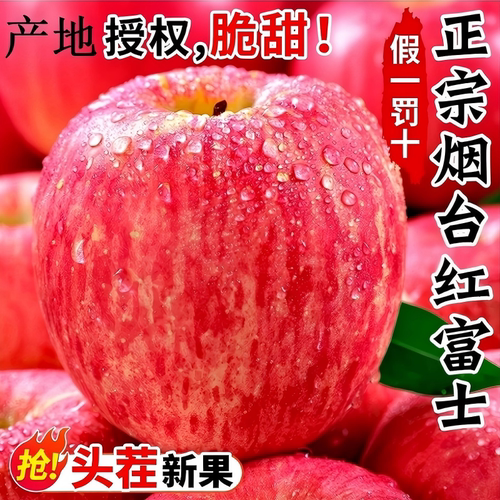 产地授权烟台栖霞红富士苹果新鲜水果直发当季脆甜糖心现摘多汁