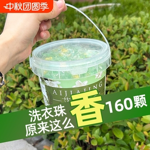護衣物香氛去污三合一 160顆山茶花香洗衣凝珠留香珠持久留香正品