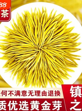 黄金芽茶叶2026年新茶正宗雨前头采嫩芽春茶一级绿茶礼盒装口粮茶