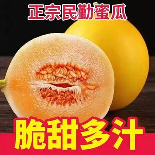 民勤蜜瓜甜瓜新鲜水果应当季整箱包邮黄金脆香瓜哈密黄河密瓜甘肃