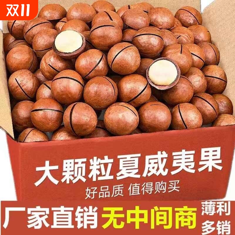 夏威夷果坚果2025年新货奶油味原味干果整箱休闲零食年货小包装