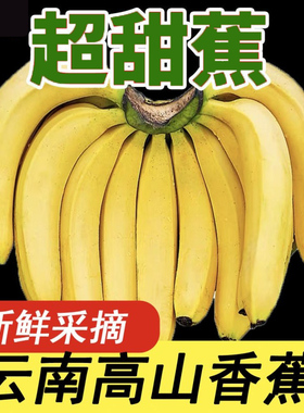 高山大香蕉3/5/9斤当季新鲜水果青皮香蕉现摘香甜需催熟甜蕉包邮