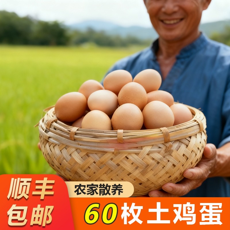60枚正宗土鸡蛋新鲜鲜蛋粉壳蛋农家山林散养营养早餐鸡蛋50g/枚