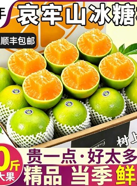 正宗云南冰糖橙新鲜水果哀牢山手剥橙子时令整箱包邮10斤