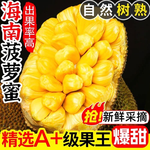 正宗海南三亚菠萝蜜新鲜水果波罗蜜当季一整个整箱新鲜包邮