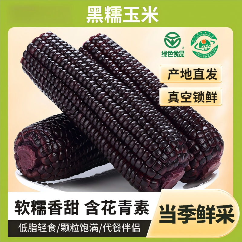 25年头茬非转基因黑糯玉米真空包装绿色食品