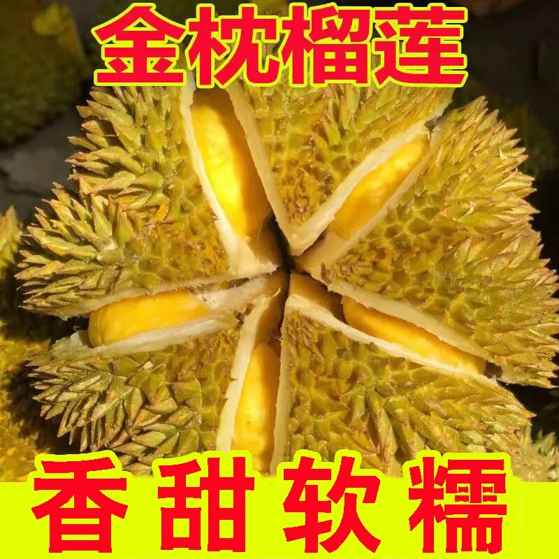 泰国进口正宗金枕榴莲核小肉厚树熟整箱顺丰包邮鲜果冷冻果肉盒装