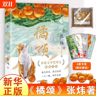茅盾文学奖得主张炜著 探险故事儿童文学阅读书籍青少年成长励志读物新华正版 讲述一个奔赴自然与春天 一个神奇迷人 故事 橘颂