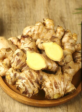 云南高山小黄姜现发姜菜