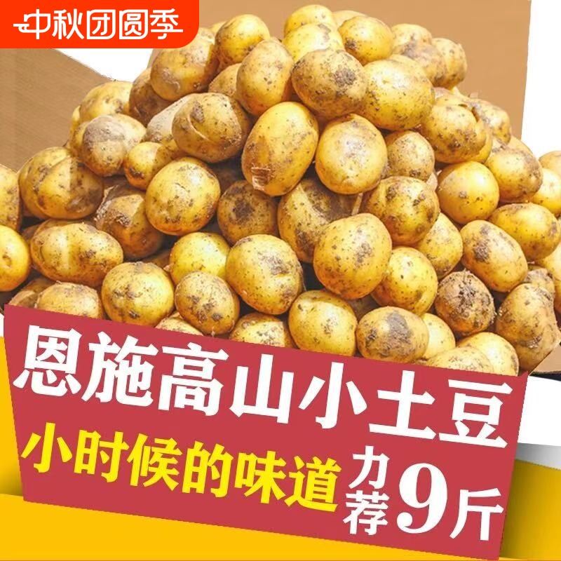 正宗恩施小土豆新鲜现挖精品黄心黄皮当季蔬菜特产洋芋迷你马铃薯图片