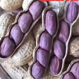 农家水煮花生晒干红皮花生咸干盐水煮香脆花生 厂家冲量