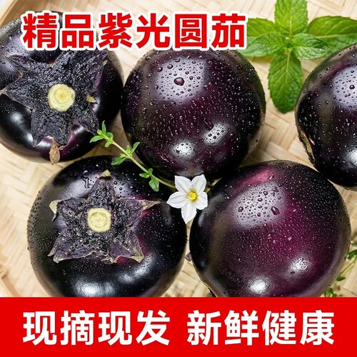 茄子新鲜现摘老品种本地产地直发生吃农家自种山东蔬菜紫茄子圆茄