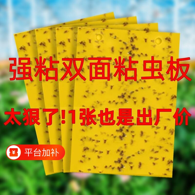 黄板双面粘虫板大棚专用小黑飞果蝇诱捕器诱虫板贴纸家用强力室内