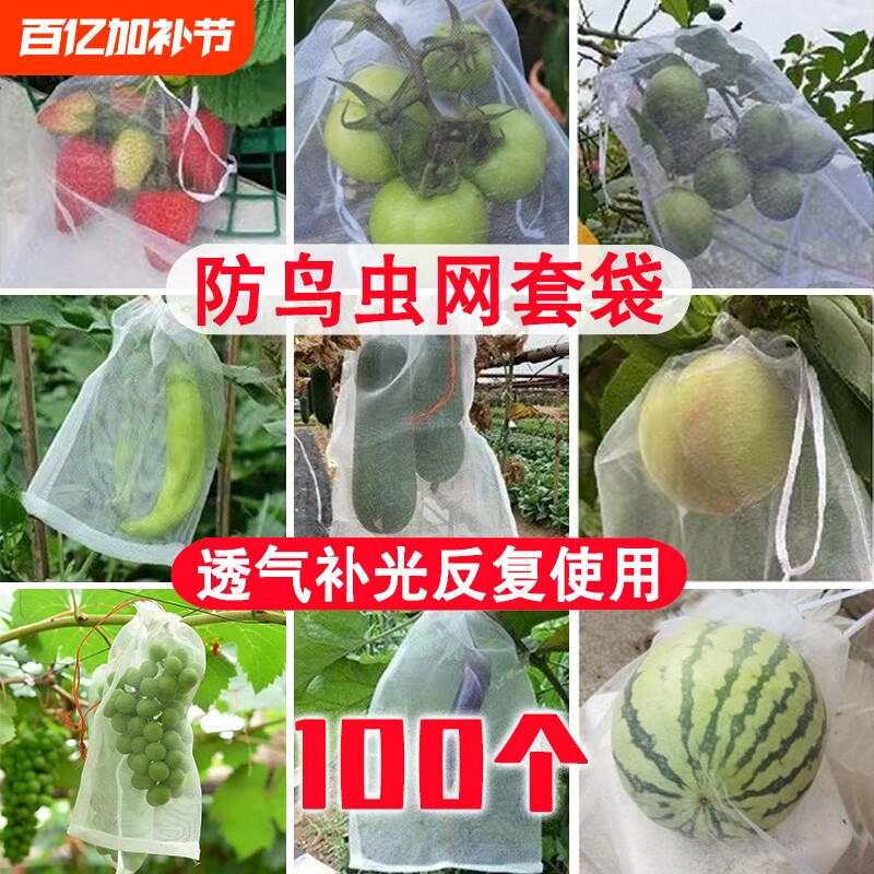 水果套袋草莓防虫保护袋防鸟网纱袋专用袋葡萄石榴柿子西瓜无花果