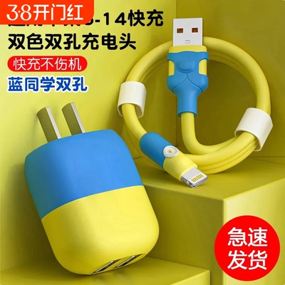 适用苹果充电线快充数据线iPhone14promax13/12/11/xr/5/6/7/8/Xxs充电器头双孔手机