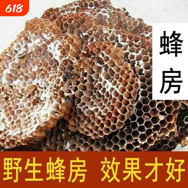 天然纯野生正品野蜂窝马蜂窝露蜂房黄蜂窝山蜂房老蜂巢中药材蜜蜂