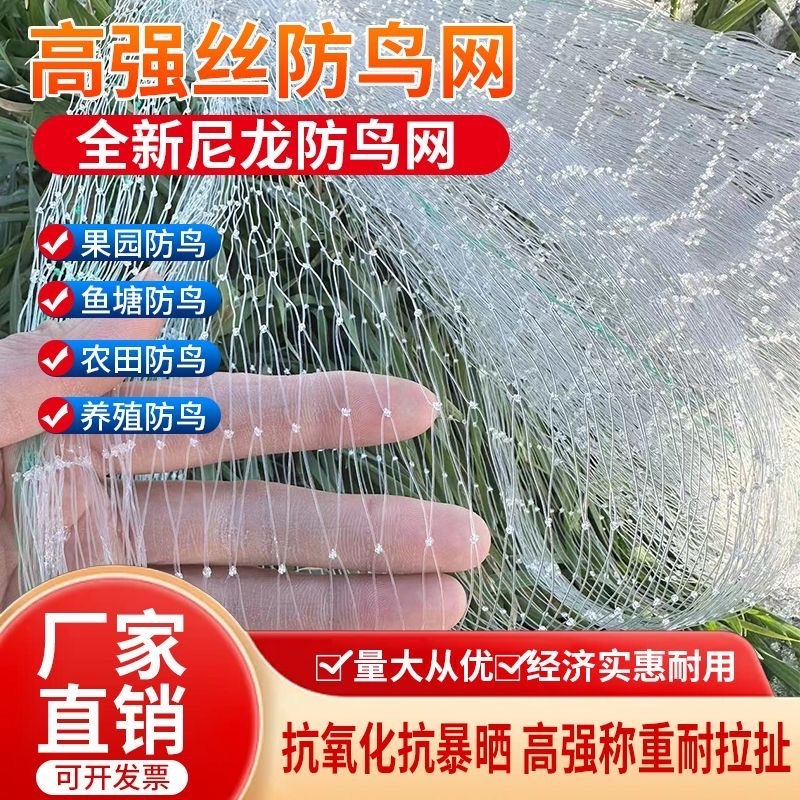 农用鱼线材质防鸟天网果树葡萄樱桃防鸟网鱼虾蟹池塘稻谷防鸟网