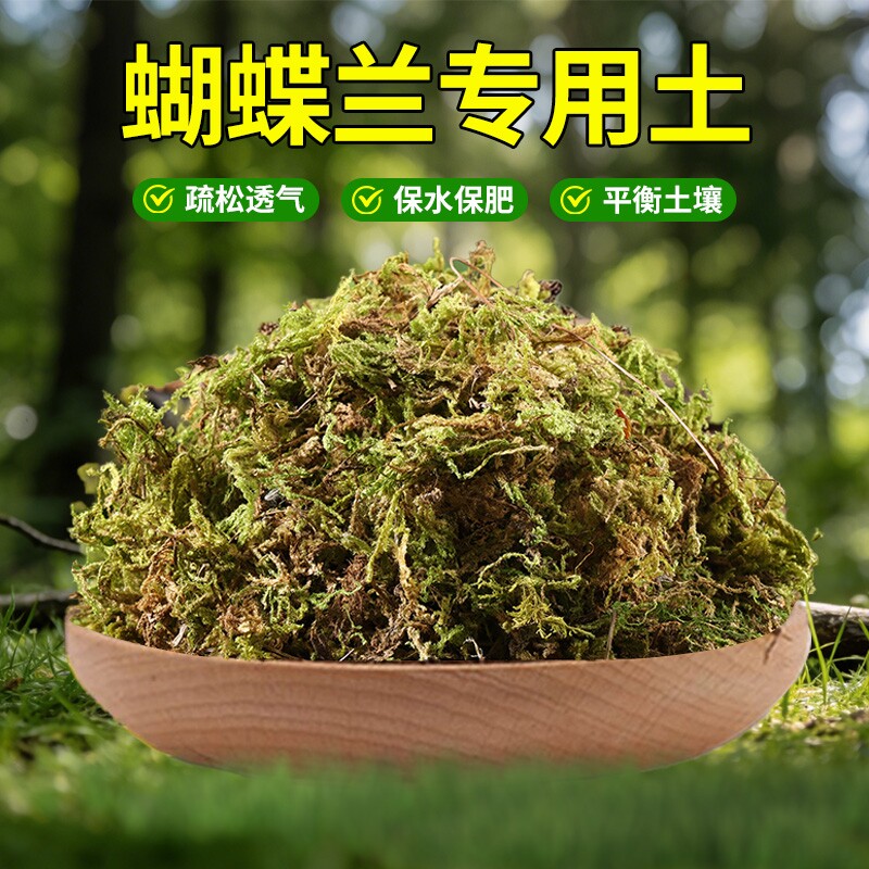 青苔水苔蝴蝶兰专用土兰花营养土干苔藓石斛兰植料盆栽种植土