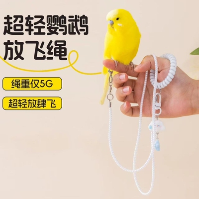 鹦鹉专用放飞绳超轻不伤脚虎皮牡丹玄凤外出牵引绳伸缩遛鸟绳八哥