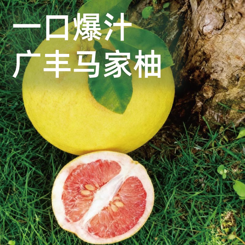 一口爆汁新鲜柚子50%出汁率