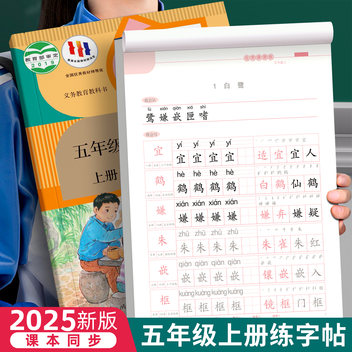 五年级上下册字帖人教版同步语文