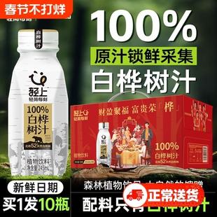 轻上 100%白桦树汁ncf天然原液桦树水植物饮品整箱植物饮料