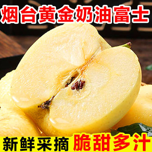 山东烟台黄金奶油富士苹果脆甜当季正宗新鲜水果应季整箱批发酸甜