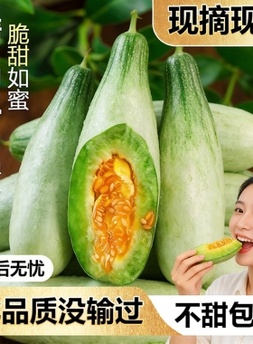 山东羊角蜜甜瓜新鲜水果当季脆甜蜜瓜香瓜时令羊角脆整箱包邮