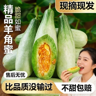 包邮 山东羊角蜜甜瓜新鲜水果当季 脆甜蜜瓜香瓜时令羊角脆整箱