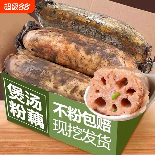 正宗湖北洪湖莲藕新鲜粉藕九孔藕