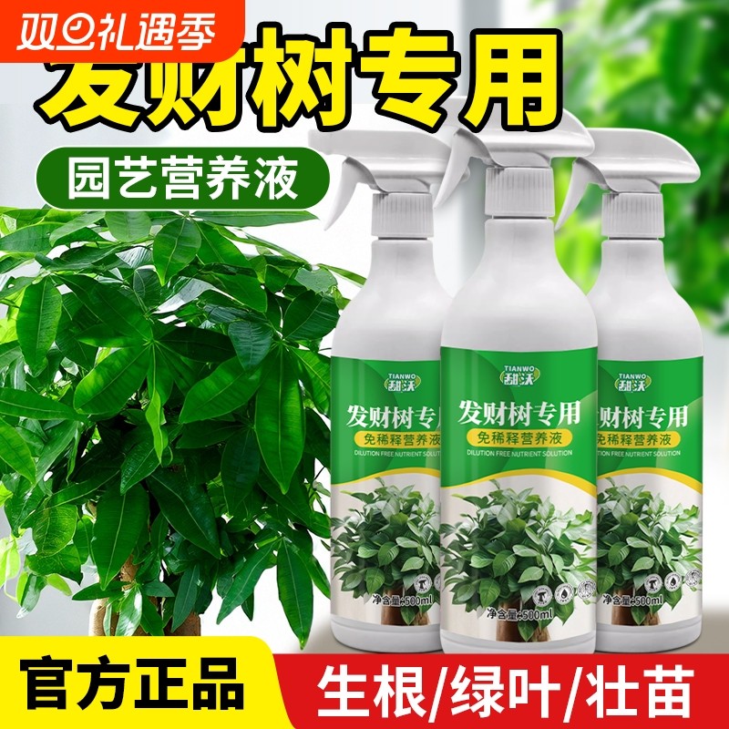 发财树营养液肥料专用肥室内盆栽植物活力素专治叶子发黄掉叶烂根