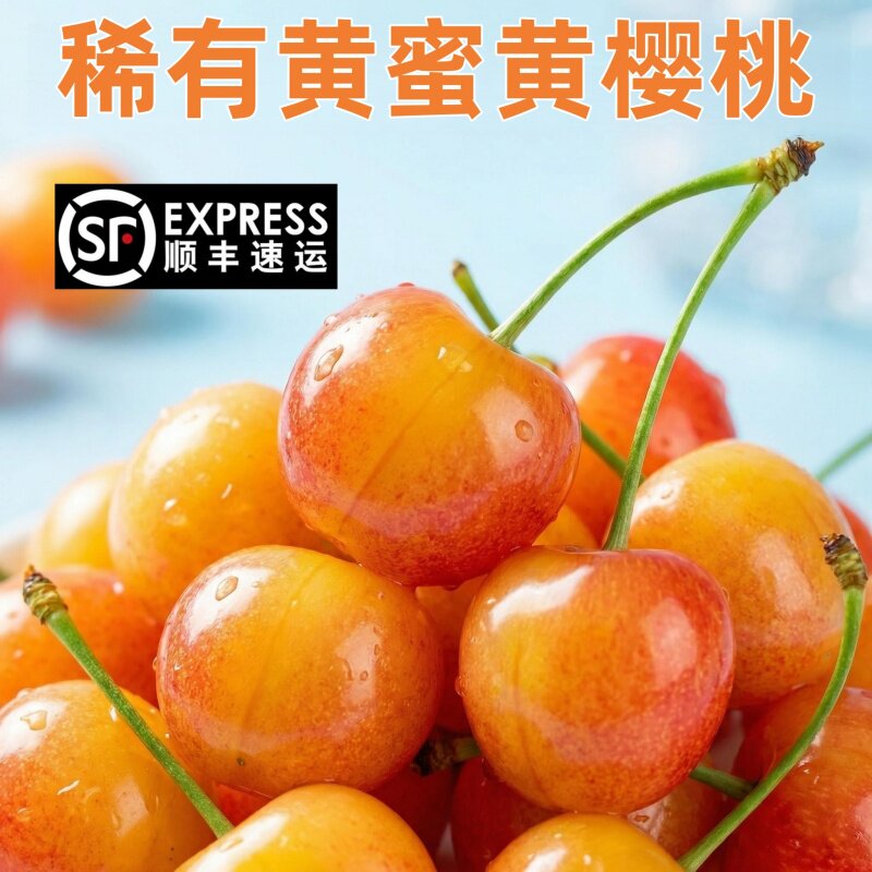 山东烟台黄蜜樱桃新鲜水果现摘国产车厘子黄水晶黄樱桃当季孕妇吃