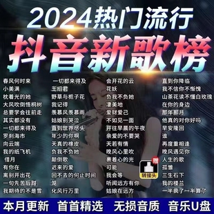 热门抖音新歌曲高品质无损usb音乐优盘车载u盘高音质车用 2024新款