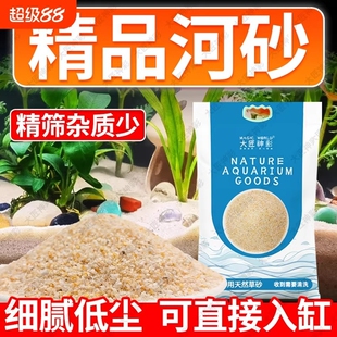 鱼缸造景河沙尼罗河沙化妆沙草缸南美缸鼠鱼底砂养花拌土实验细沙