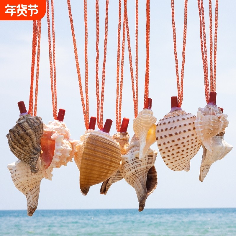海螺口哨天然海螺号喇叭儿童吹号玩具小螺号创意礼物大海螺号角