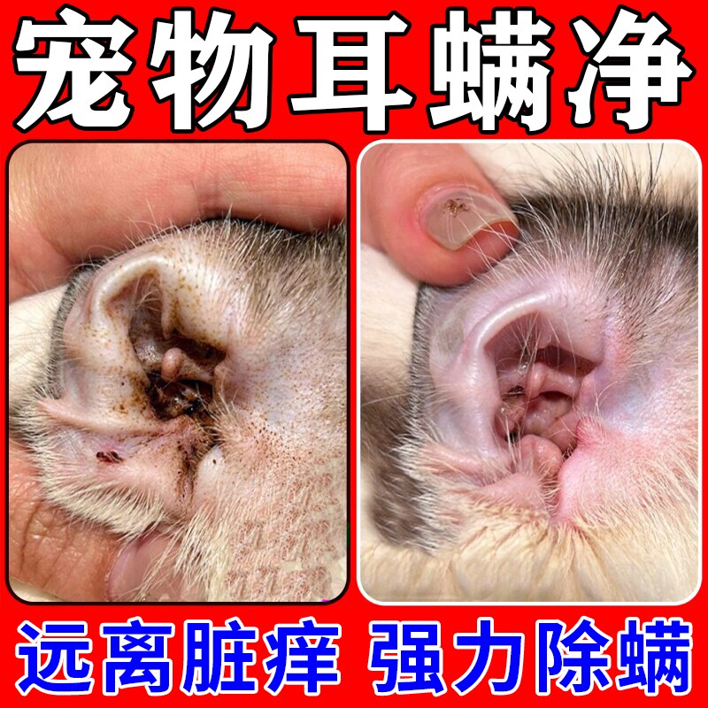 猫咪除耳螨专用清洁猫耳粉洗耳粉狗狗耳粉耳朵洗耳液S除螨洁耳图片