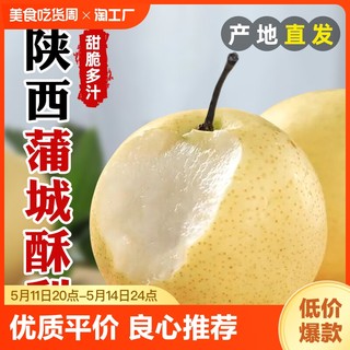 陕西蒲城酥梨新鲜整箱包装现货梨精品酥梨应季梨脆甜当季大果