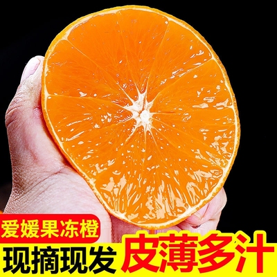 【彩箱精品】正宗四川爱媛38号果冻橙爆甜眉山新鲜孕妇水果应当季