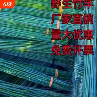 竹竿菜园搭架爬藤架杆竹竿棍竹竿支撑杆搭架子竹竿4米长竹竿竹竿