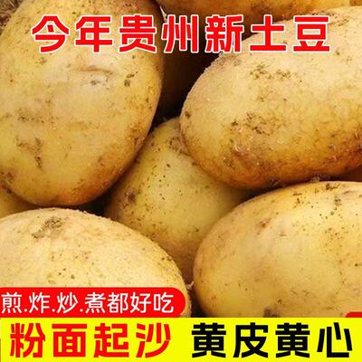 新鲜黄肉黄心洋芋粉面当季