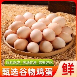 鲜鸡蛋农场谷物饲喂营养早餐鸡蛋整箱月子蛋草鸡蛋