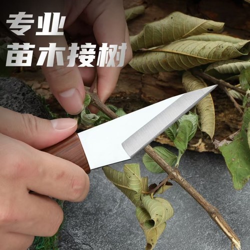 专业果树芽接刀|超1000次加购